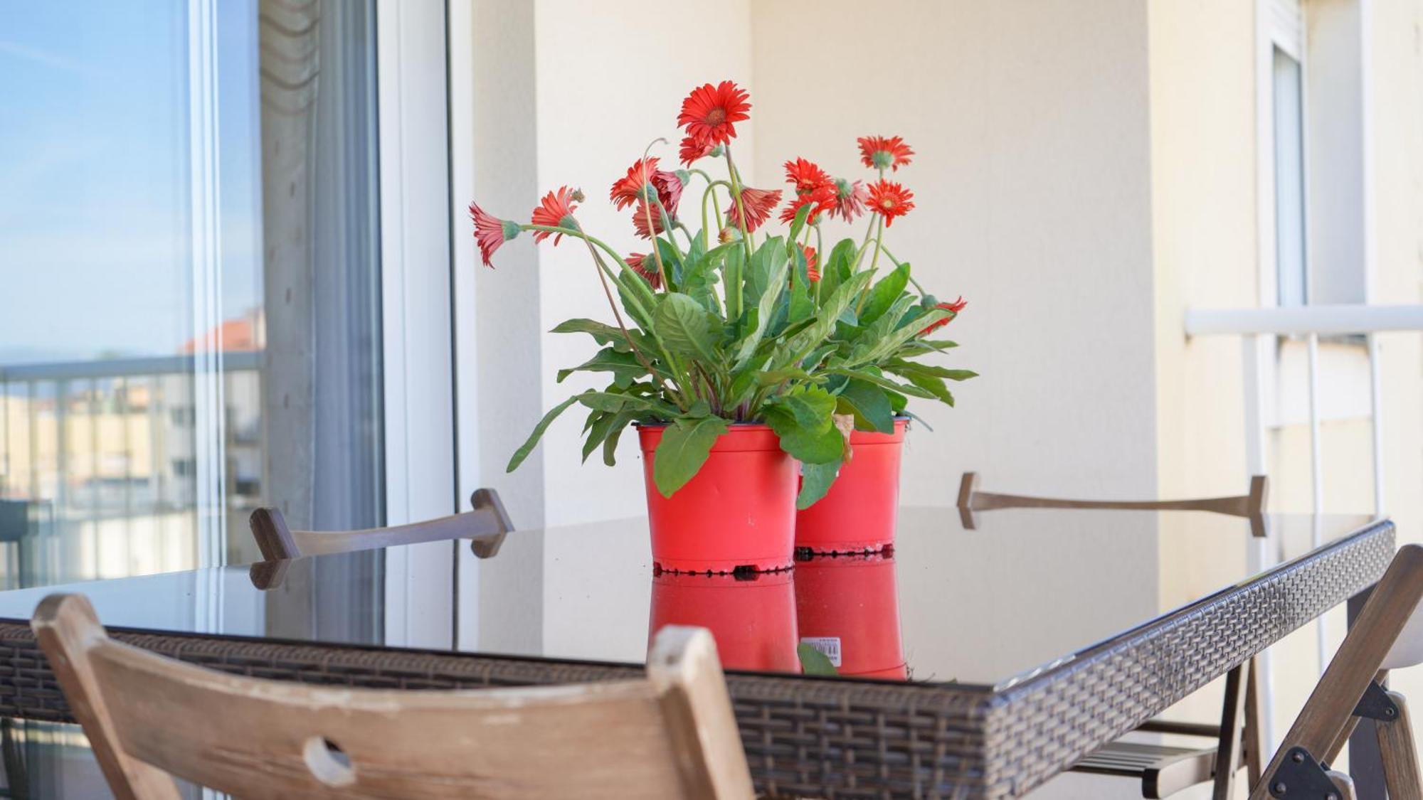 סנט ג'אומה ד'נבג'ה Apartament Lo Cor Del Delta מראה חיצוני תמונה